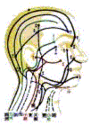 Shiatsu for Migraine Treatment